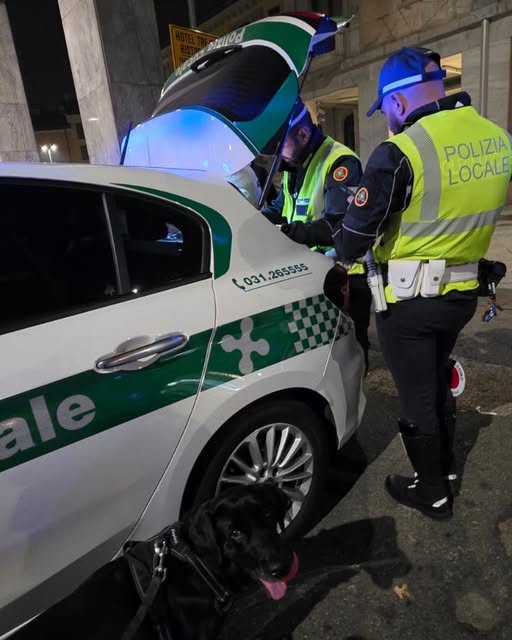 Polizia Locale Como: Controlli continui in città . Sanzioni per droga, Daspo e una denuncia grazie all' unità cinofila…